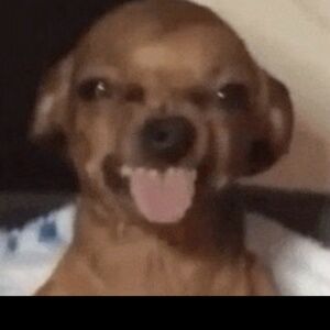 Meet your Posher, Emani